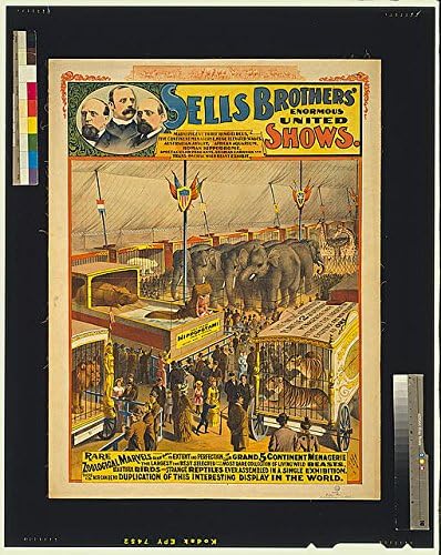 HistoricalFindings Fotó: Eladja a Testvérek Hatalmas Egyesült Mutatja,Ritka zoológiai Csodákat,c1895,Cirkusz