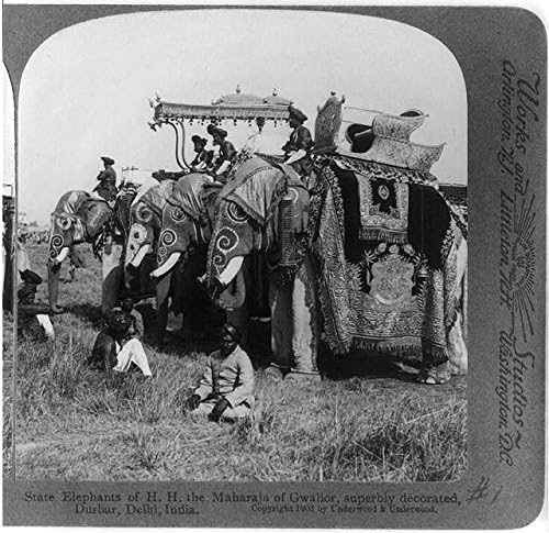 HistoricalFindings Fotó: Állami Elefántok,H. H,a Maharadzsa még gwalior-ra,Durbar,Delhi,India,c1903,Bonyolult